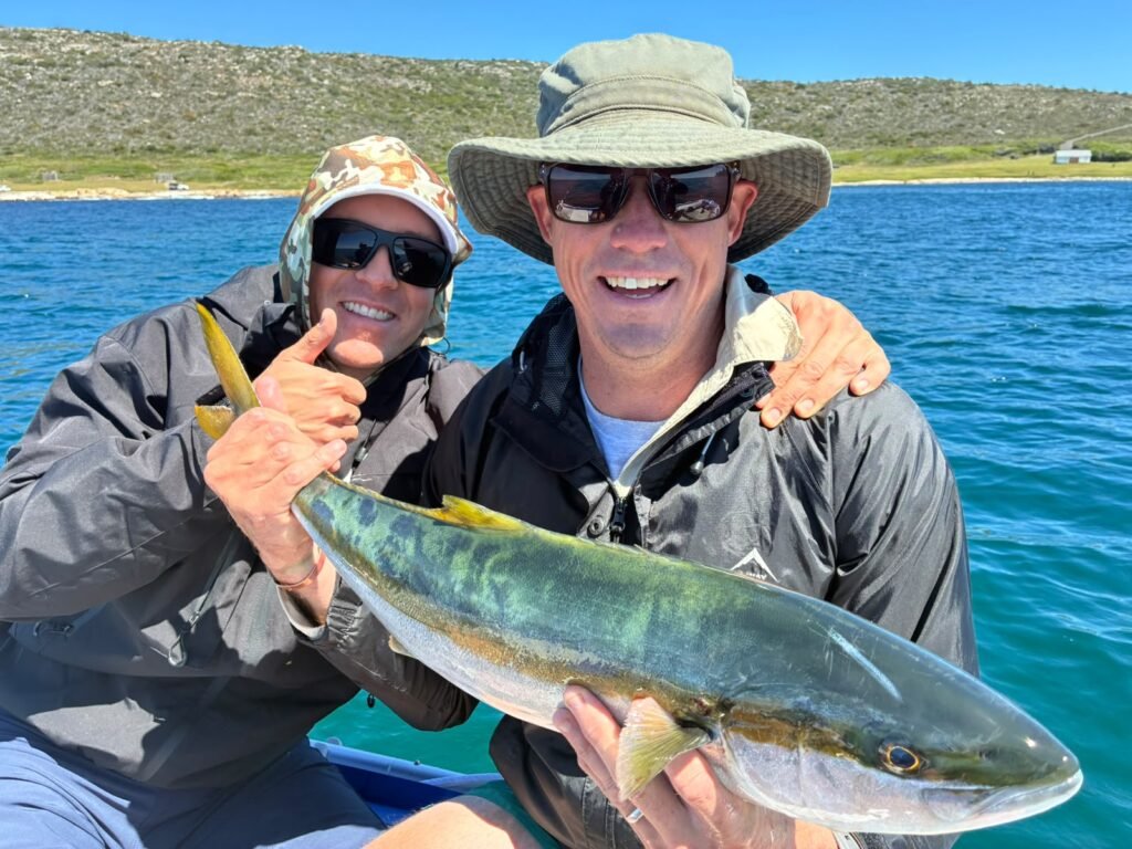 Yellowtail