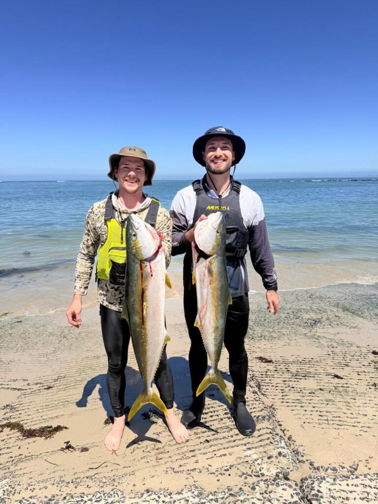 Yellowtail