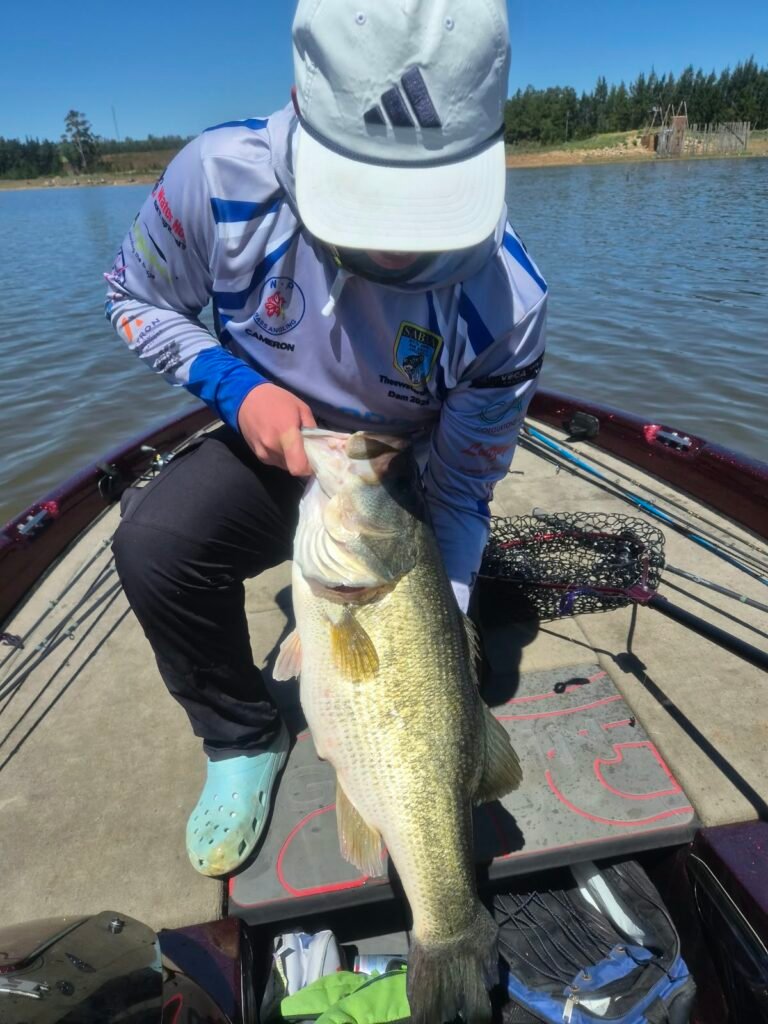 Largemouth Bass
